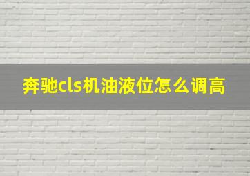 奔驰cls机油液位怎么调高