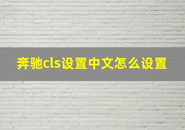 奔驰cls设置中文怎么设置