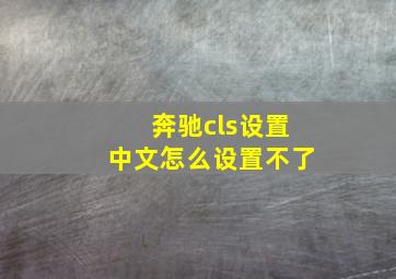 奔驰cls设置中文怎么设置不了