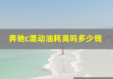 奔驰c混动油耗高吗多少钱