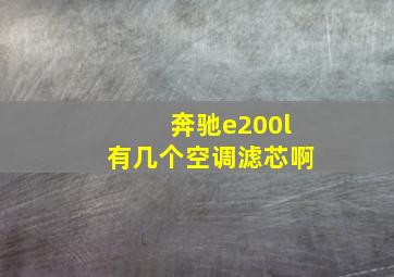 奔驰e200l有几个空调滤芯啊