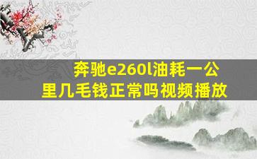 奔驰e260l油耗一公里几毛钱正常吗视频播放