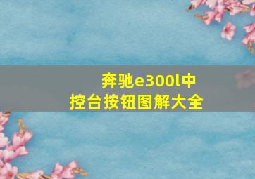 奔驰e300l中控台按钮图解大全