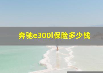 奔驰e300l保险多少钱