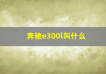 奔驰e300l叫什么