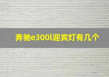 奔驰e300l迎宾灯有几个