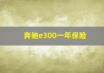 奔驰e300一年保险