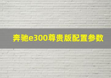 奔驰e300尊贵版配置参数