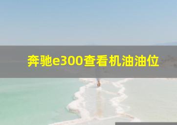 奔驰e300查看机油油位