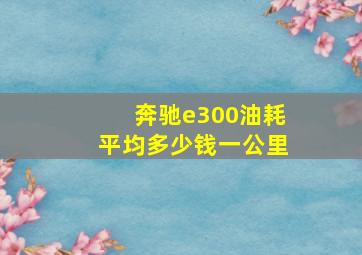 奔驰e300油耗平均多少钱一公里