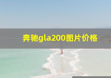 奔驰gla200图片价格