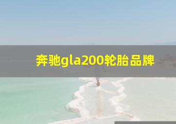 奔驰gla200轮胎品牌