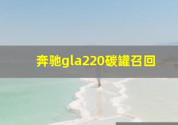 奔驰gla220碳罐召回