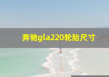 奔驰gla220轮胎尺寸