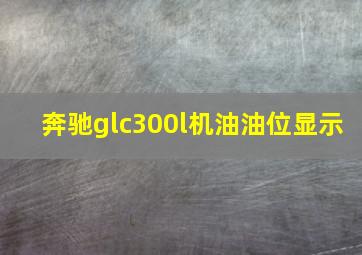 奔驰glc300l机油油位显示