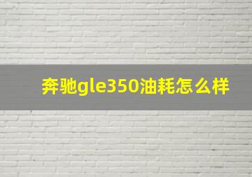 奔驰gle350油耗怎么样