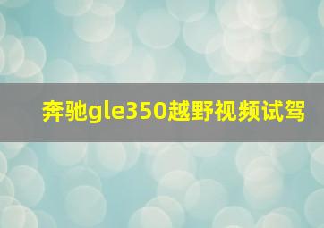 奔驰gle350越野视频试驾