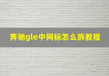 奔驰gle中网标怎么拆教程