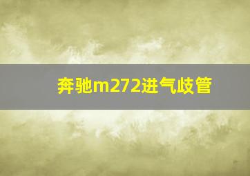 奔驰m272进气歧管