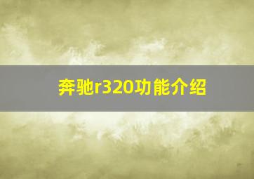 奔驰r320功能介绍