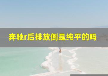 奔驰r后排放倒是纯平的吗