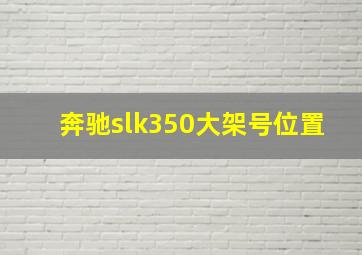 奔驰slk350大架号位置