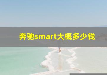 奔驰smart大概多少钱