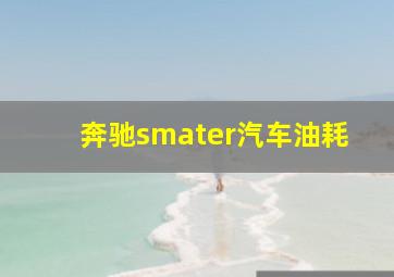 奔驰smater汽车油耗