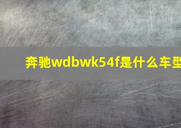 奔驰wdbwk54f是什么车型