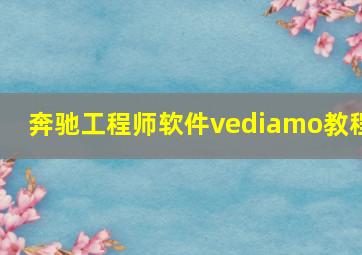 奔驰工程师软件vediamo教程