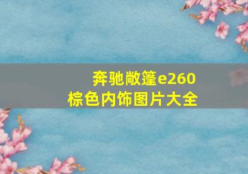 奔驰敞篷e260棕色内饰图片大全