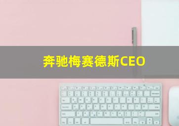 奔驰梅赛德斯CEO