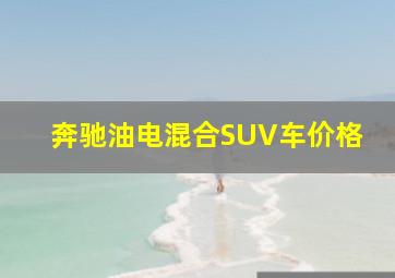 奔驰油电混合SUV车价格