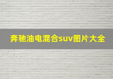 奔驰油电混合suv图片大全