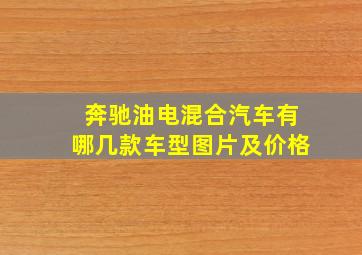 奔驰油电混合汽车有哪几款车型图片及价格