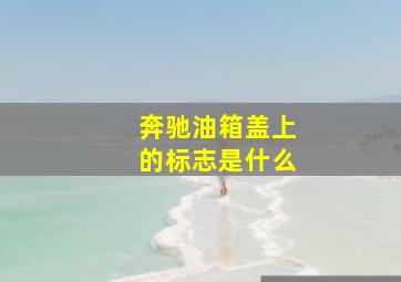 奔驰油箱盖上的标志是什么