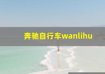 奔驰自行车wanlihu