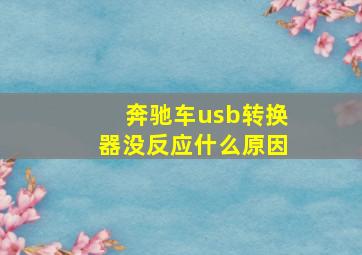 奔驰车usb转换器没反应什么原因