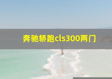 奔驰轿跑cls300两门