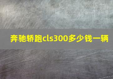 奔驰轿跑cls300多少钱一辆