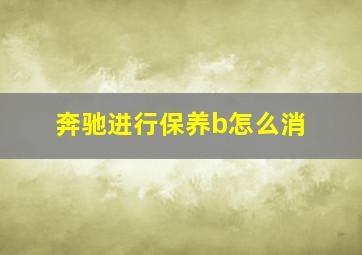 奔驰进行保养b怎么消