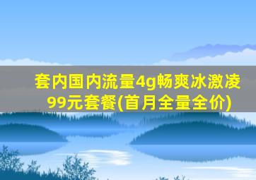 套内国内流量4g畅爽冰激凌99元套餐(首月全量全价)