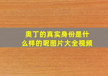 奥丁的真实身份是什么样的呢图片大全视频