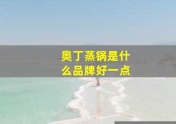 奥丁蒸锅是什么品牌好一点