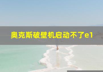 奥克斯破壁机启动不了e1