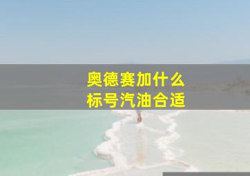 奥德赛加什么标号汽油合适