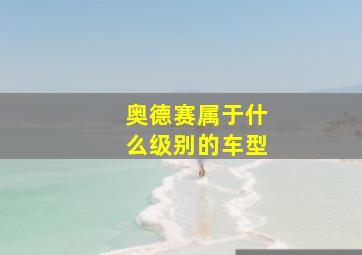 奥德赛属于什么级别的车型