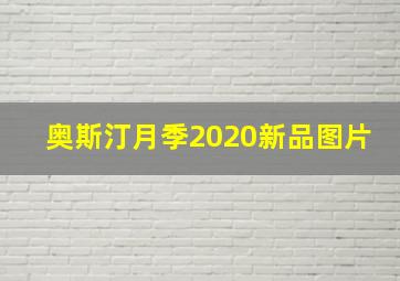 奥斯汀月季2020新品图片