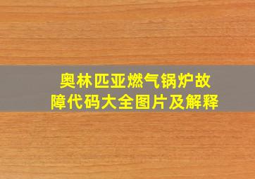 奥林匹亚燃气锅炉故障代码大全图片及解释