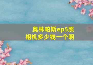 奥林帕斯ep5照相机多少钱一个啊